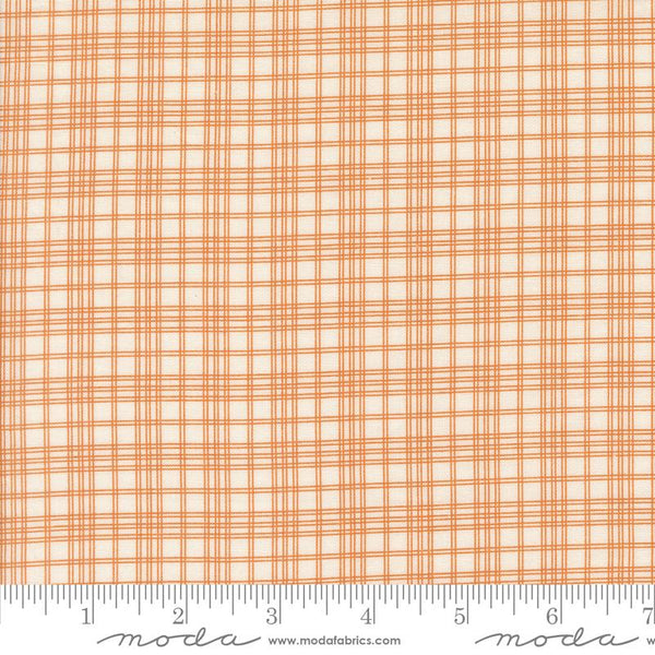 Pumpkin Spice Gath Cream Pumpki 805077