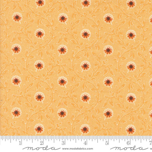 Pumpkin Spice Gath Moon Beam 805080