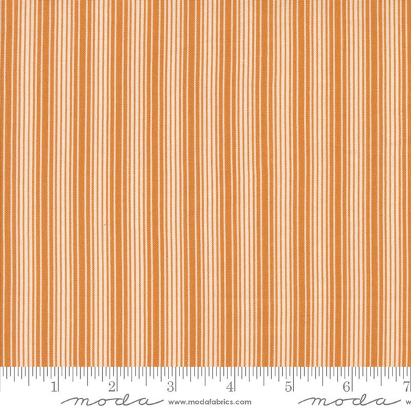 Pumpkin Spice Gath Pumpkin 805071