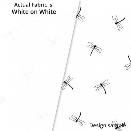Ramblings Fun Dragonflies 4621