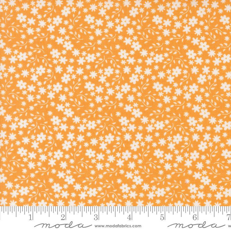 Raspberry Summer Apricot 5181
