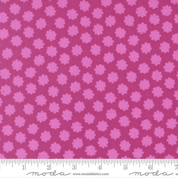 Scenery Puffball Passion Fruit 6508
