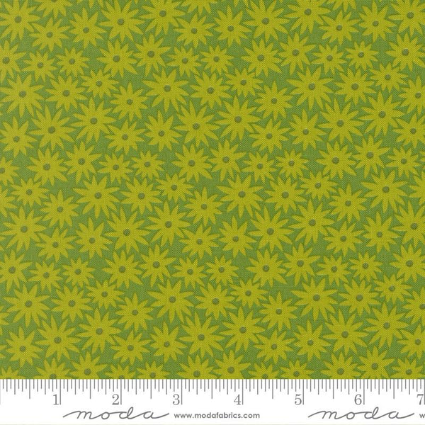 Scenery Sedum Limeade 6517