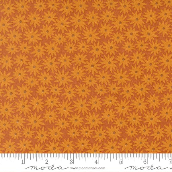Scenery Sedum Rusty 6497