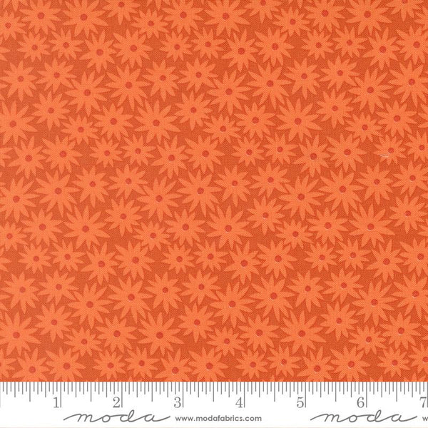 Scenery Sedum Yam 6520