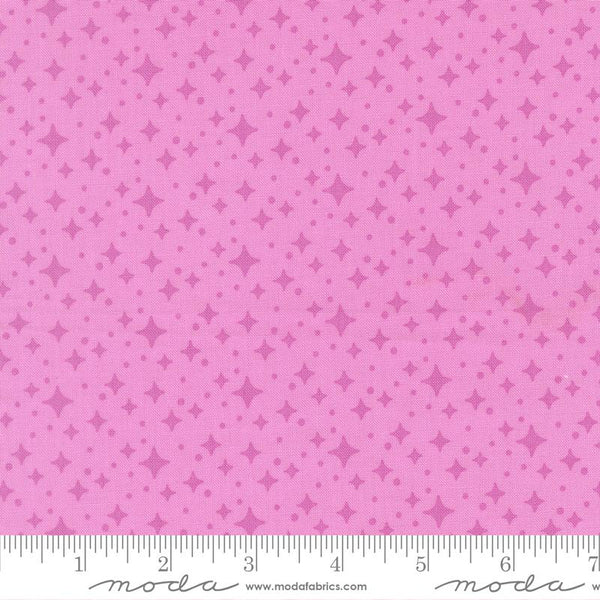 Scenery Starlight Sweet Pea 6514