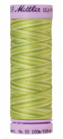 Silk-Finish 50wt Variegated Cotton Thread 109yd/100M Little Spouts