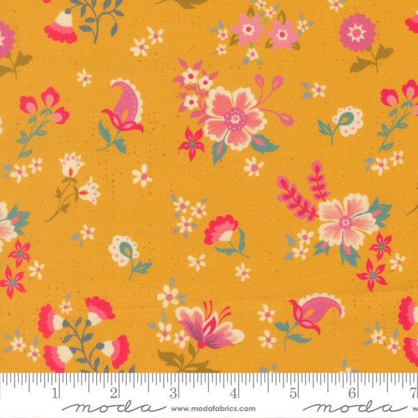 Sitara Davina Dijon 11982 19 Moda #1
