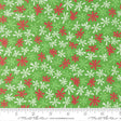 Snow Time Hollyleaf Snow 805221