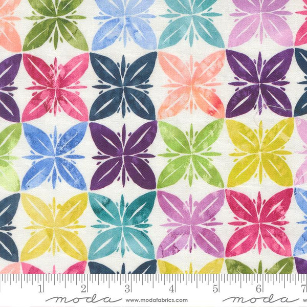 Soulstice Canvas Rainbow 6148