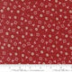 Star of Candy Chilly Table Topper or Pillow Kit