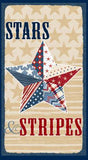Stars of Valor Multi Craft Panel 5168