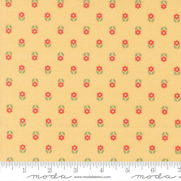 Sunroom Sunshine 29265 17 Moda #1
