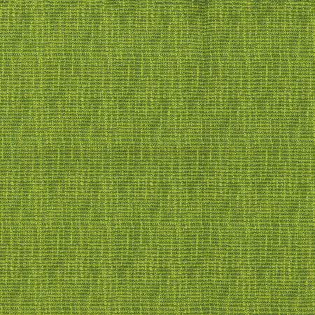 Tweed Grass 5405
