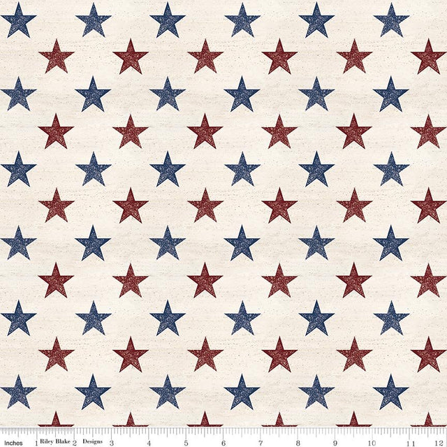Valor Is Never Forgotten 107/108 Inch Wide Back Stars Multi