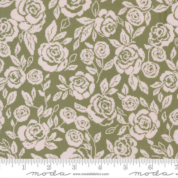Wild Honey Fern 5677