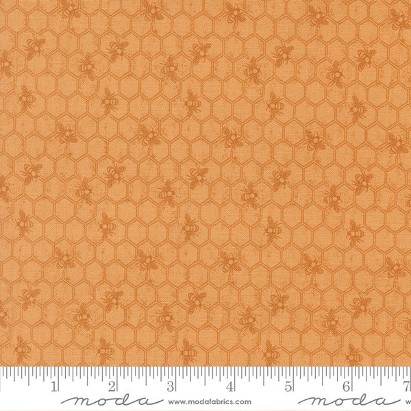 Wild Honey Honey 5675