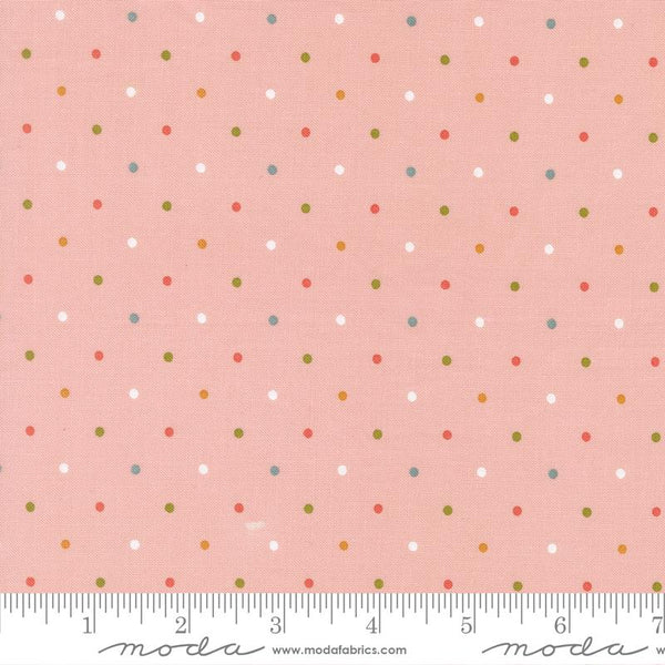Wild Honey Magic Dot Carnation 5673